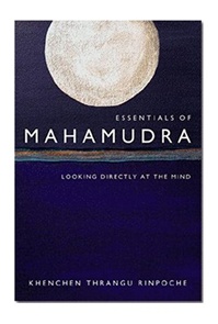 (image for) Essentials of Mahamudra: Looking Directly at Mind (PDF)